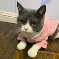 Cat clothes summer dress