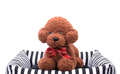 Pet Mat Dog House