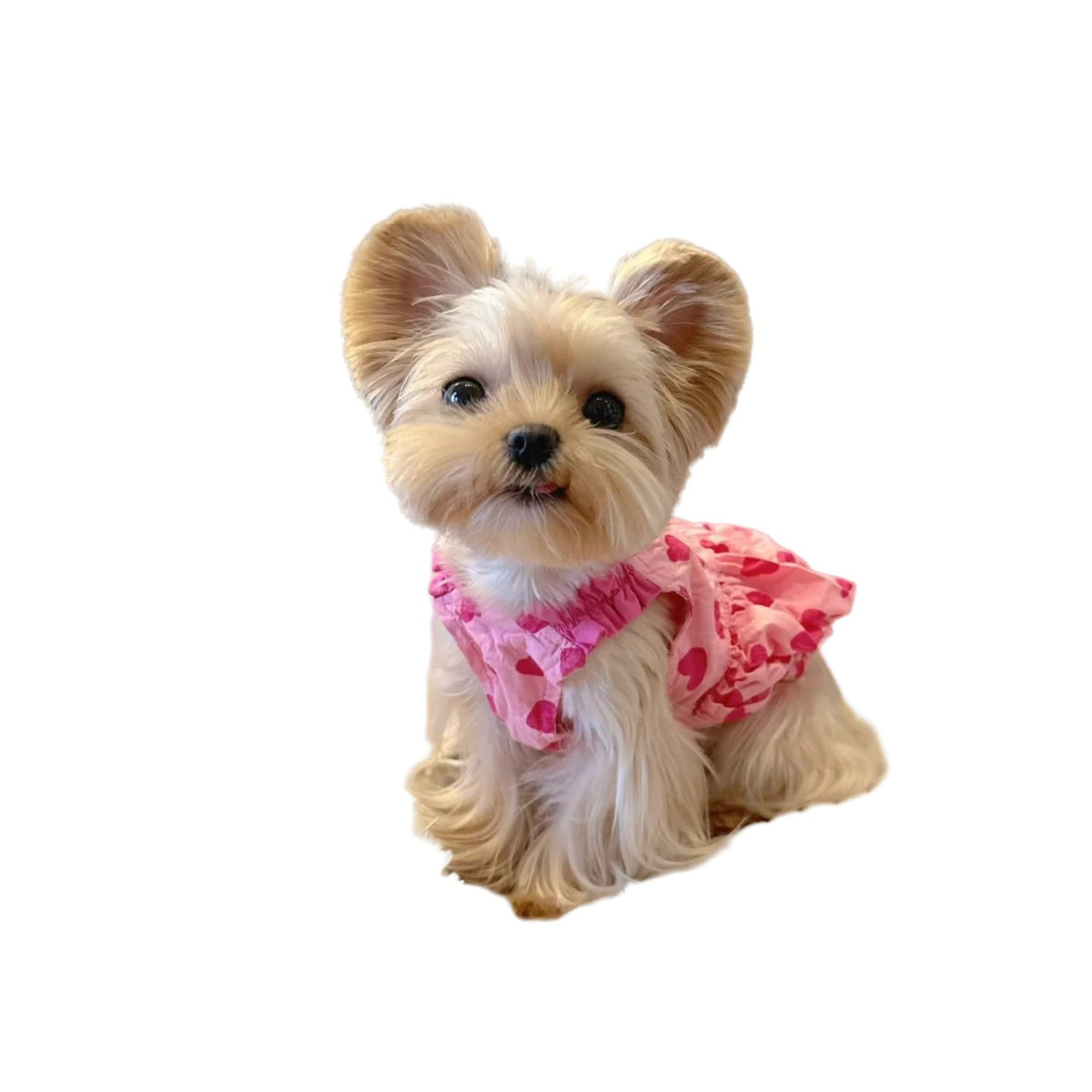 Springsummer Dog Clothes Princess Dress For Pets