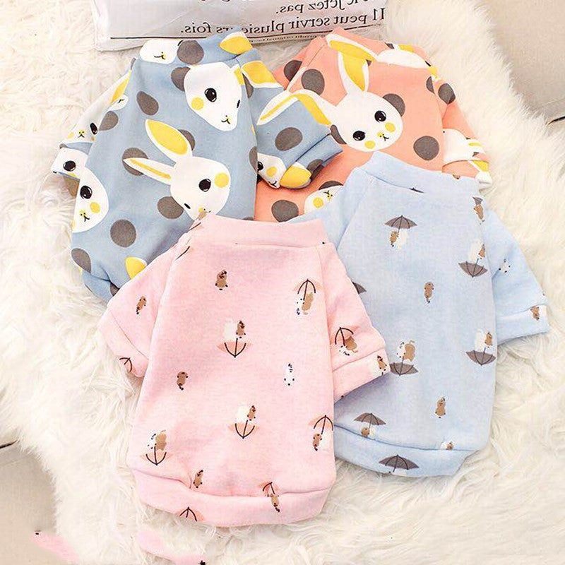 Young autumn and winter small dog pet clothes