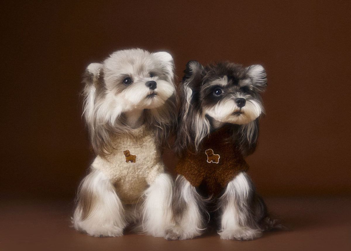 Autumn And Winter Sleeveless Teddy Schnauzer Bichon Puppy Head Three-dimensional Ear Sweater Vest