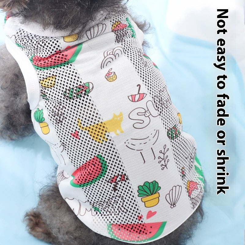 Maltese Puppy 3-month Vest