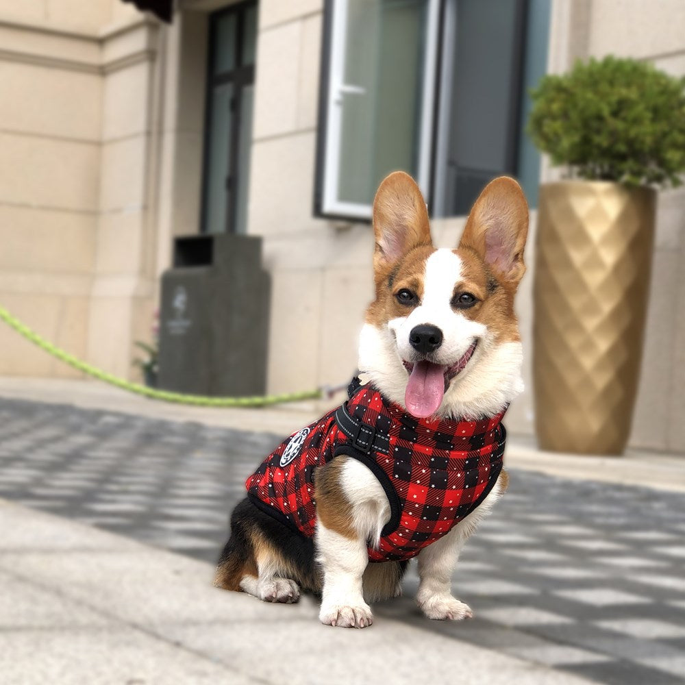 Autumn And Winter Clothing Warm Pet Clothing Waterproof Reflective Tape Chest Back Dog Cotton