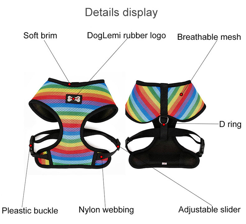 Rainbow chest strap
