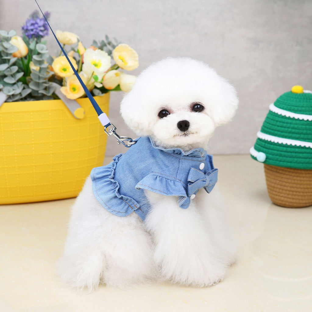 Clothes Summer Dog Not With Rope