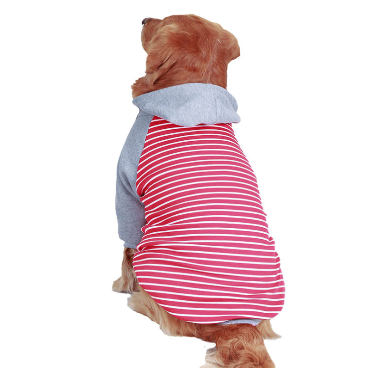 Big dog clothes in autumn and winter