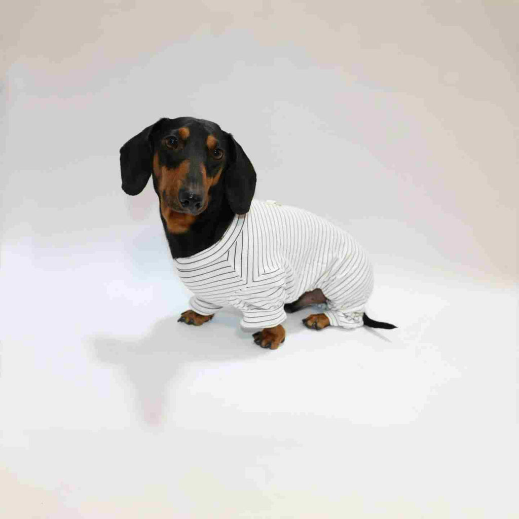Thin Striped Dog Cat Pet Clothes