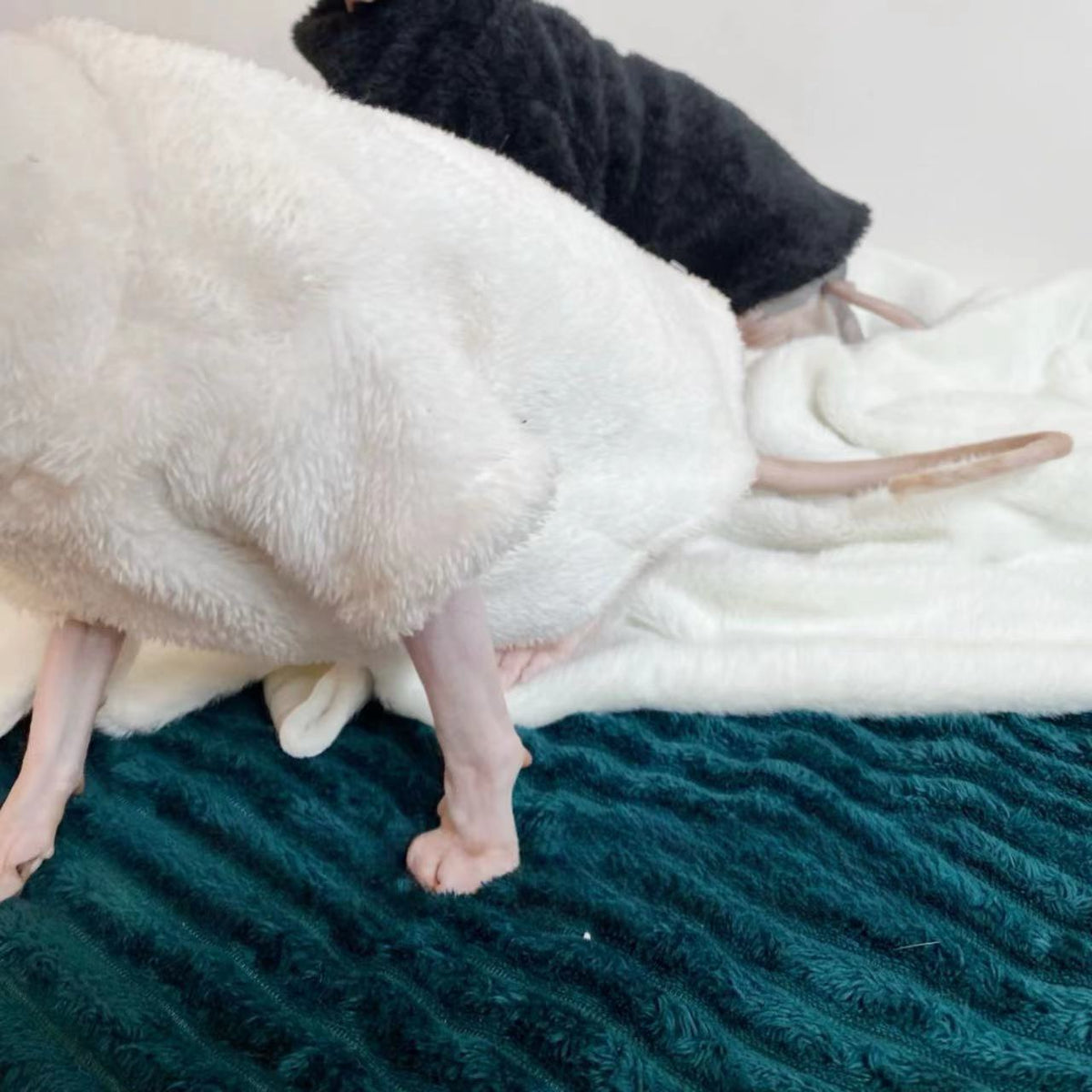 Winter Pet Clothes Warm-keeping And Cold-proof Plush