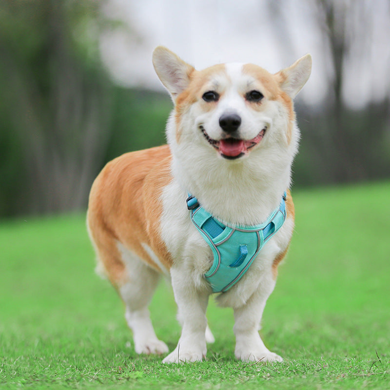 Large Anti Slip Pet Chest Harness In Traction Rope
