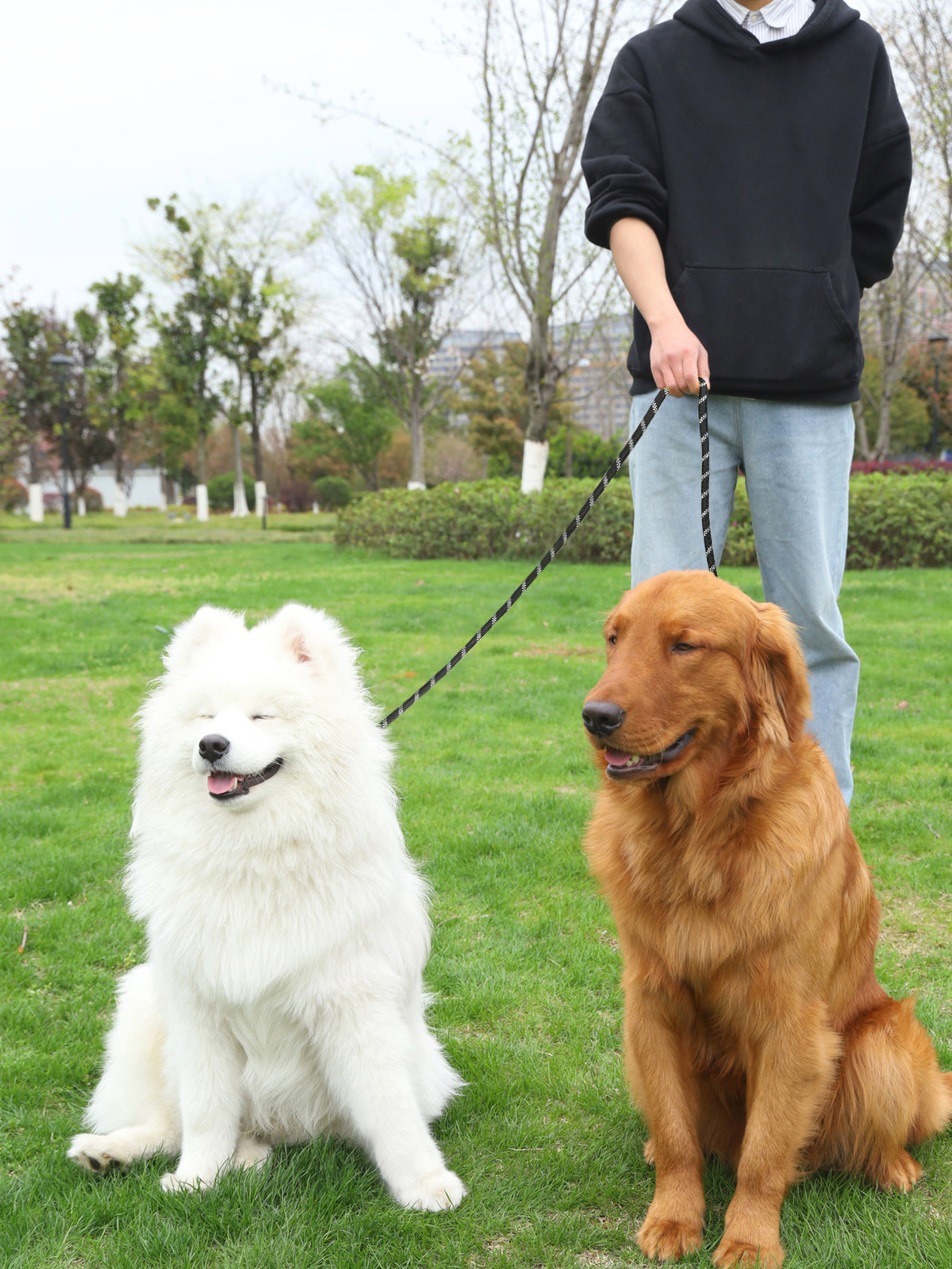 Pet Multifunctional Adjustable Reflective Hand Holding Rope