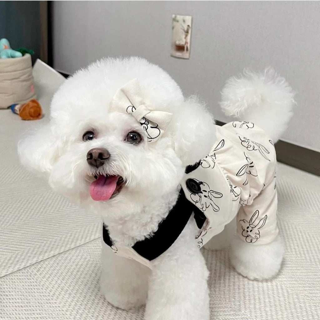 Pet Dog Overalls Teddy Bichon Trend