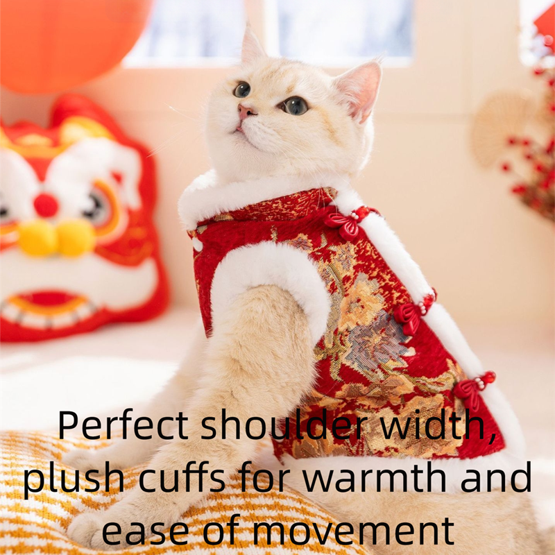 In Autumn And Winter, Cats Keep Warm. Chinese Style Of Wealth And Prosperity Bloom. New Year, Button-down Vests, Tang Suits, Little Dogs