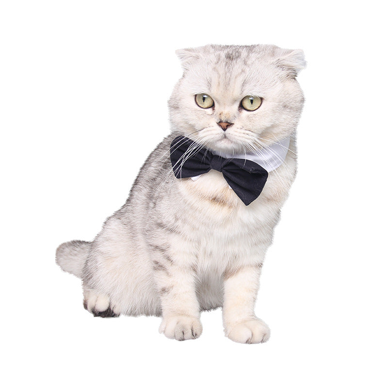 Dog Bow Tie British Handsome Black