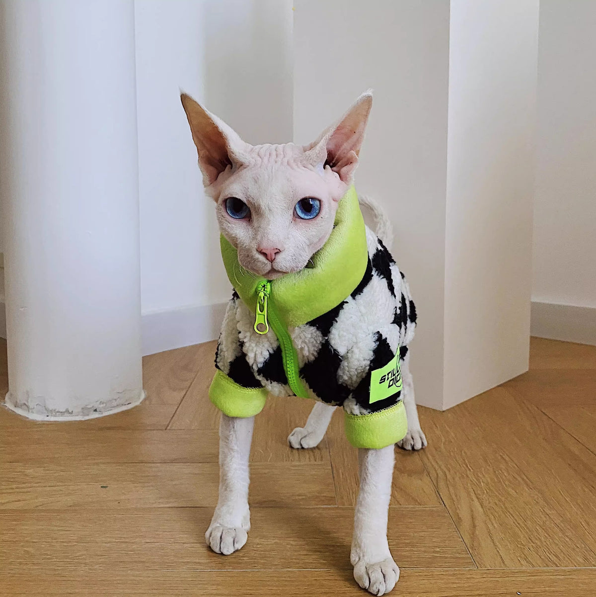 Hairless Cat Sphynx Devon Winter Warm Fleece-Lined Lambswool Ultra-Thick Coat