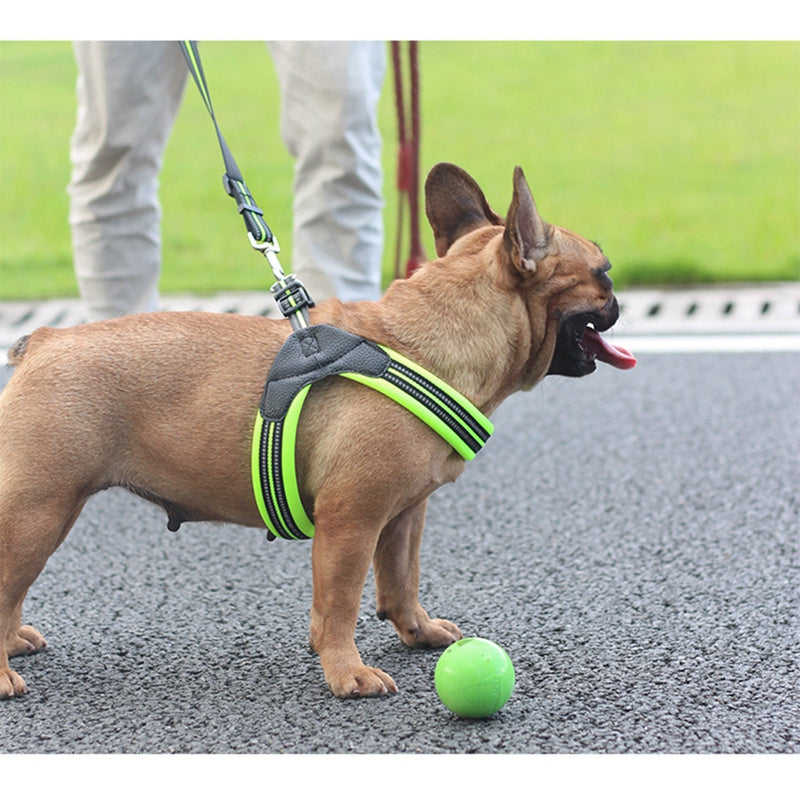 Reflective leash for dog