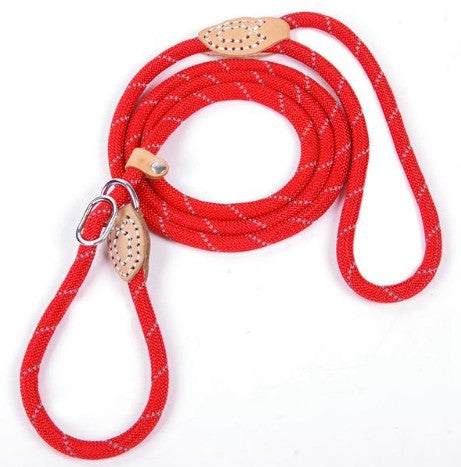 Reflective silk hyena leash