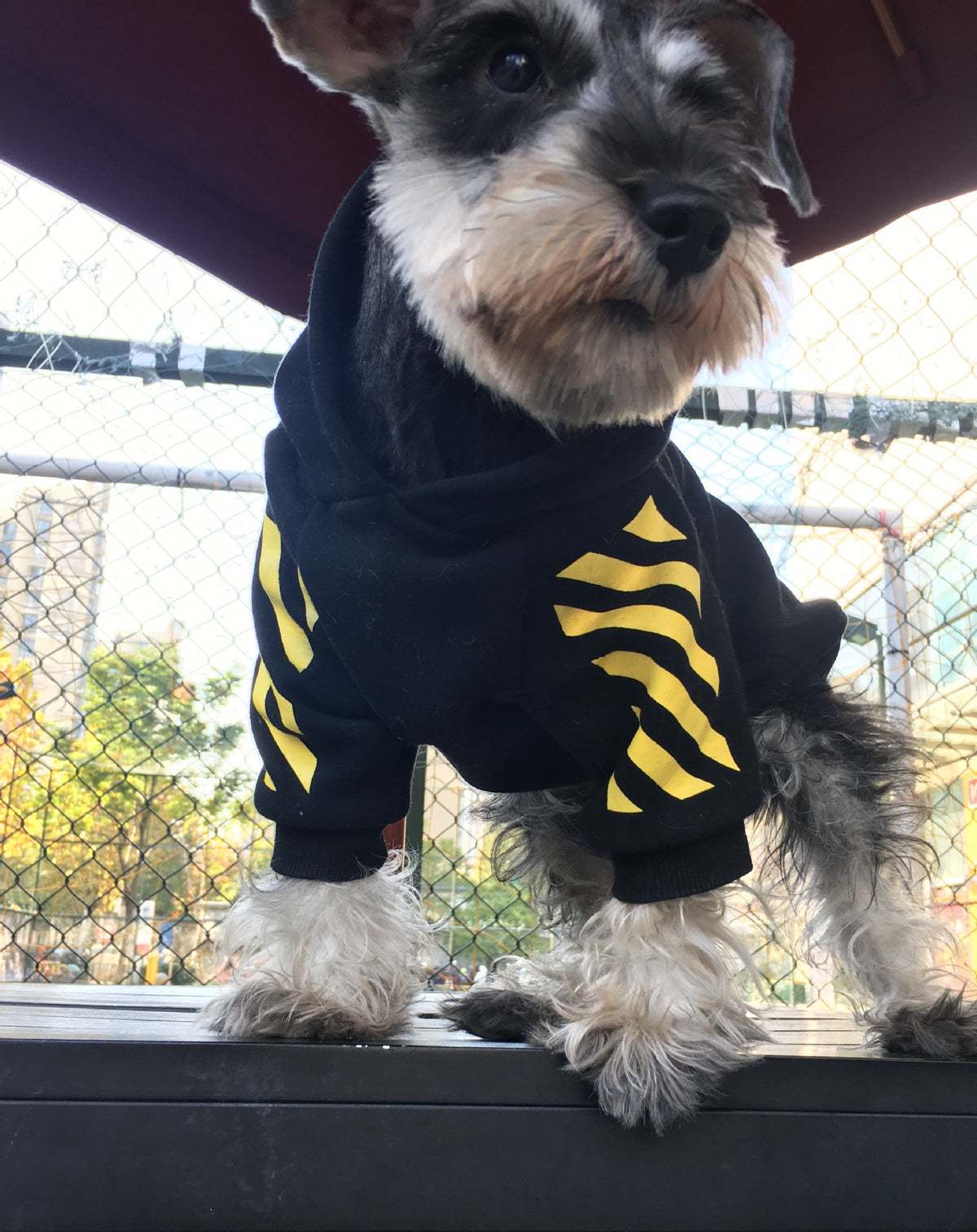 Fleecy puppy sweater