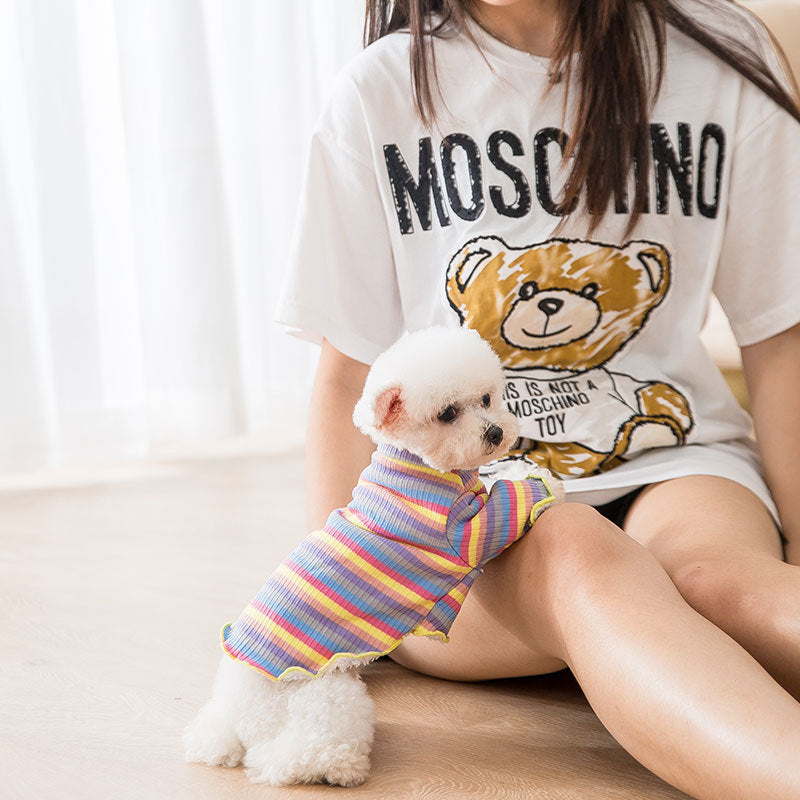 Knitted rainbow dog clothes