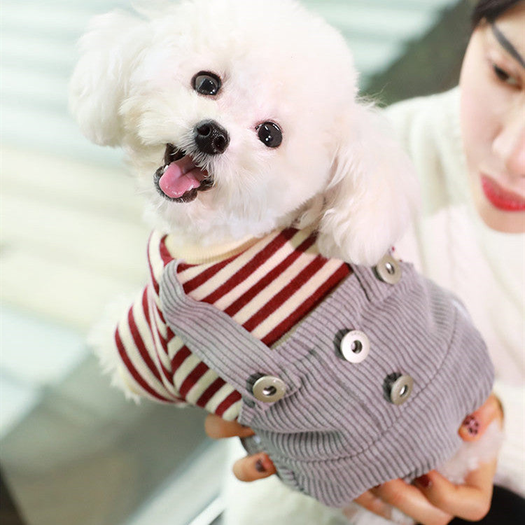 Dog thin autumn and winter clothes