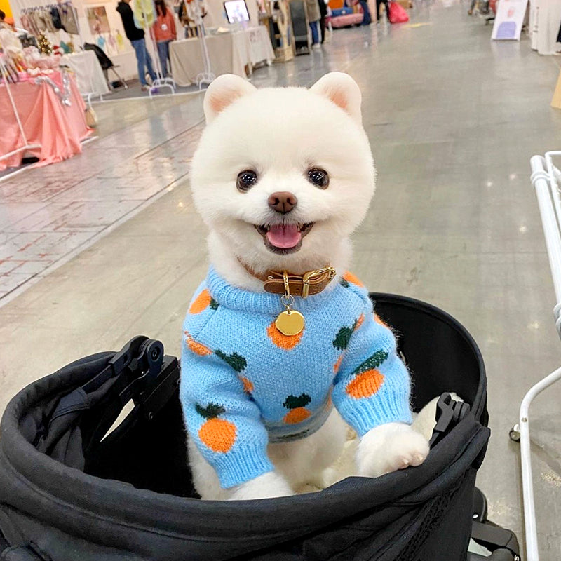 Cute Printed Dog Clothes Knitted Sweater Long Sleeve