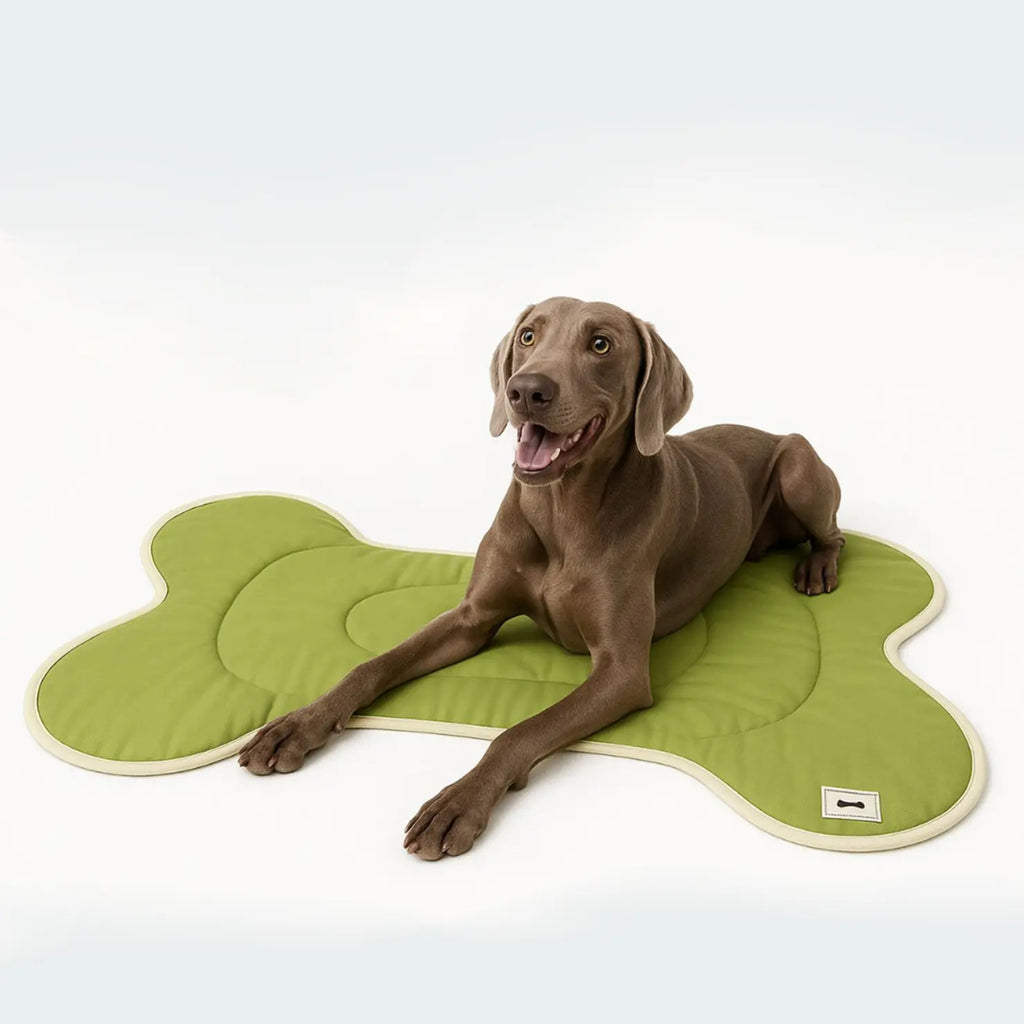 Portable Pet Sleeping Mat Multi-scene Four Seasons Universal Dog Climbing Mat Washable Thickened Wear-resistant Breathable Training Mat
