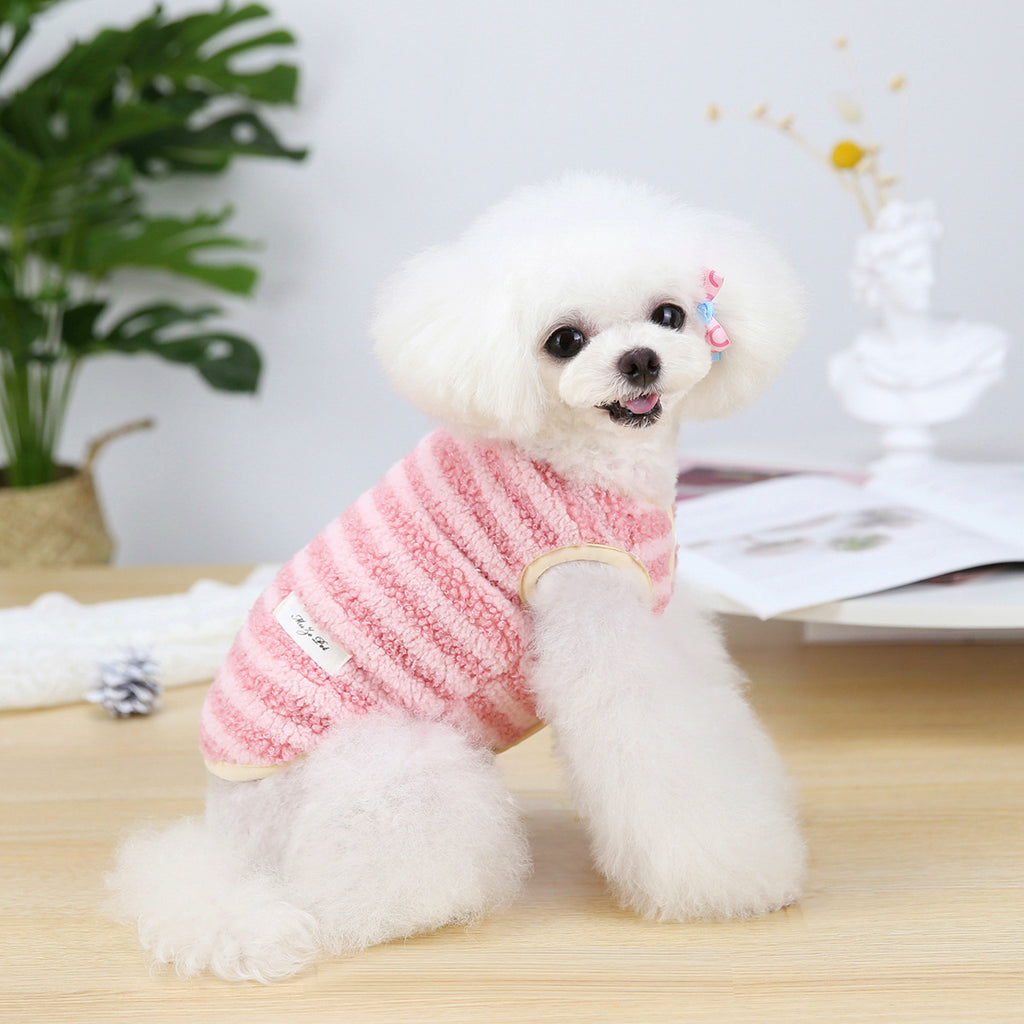 Small Dog Autumn Winter Clothing