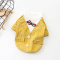 Cotton autumn and winter dog clothes