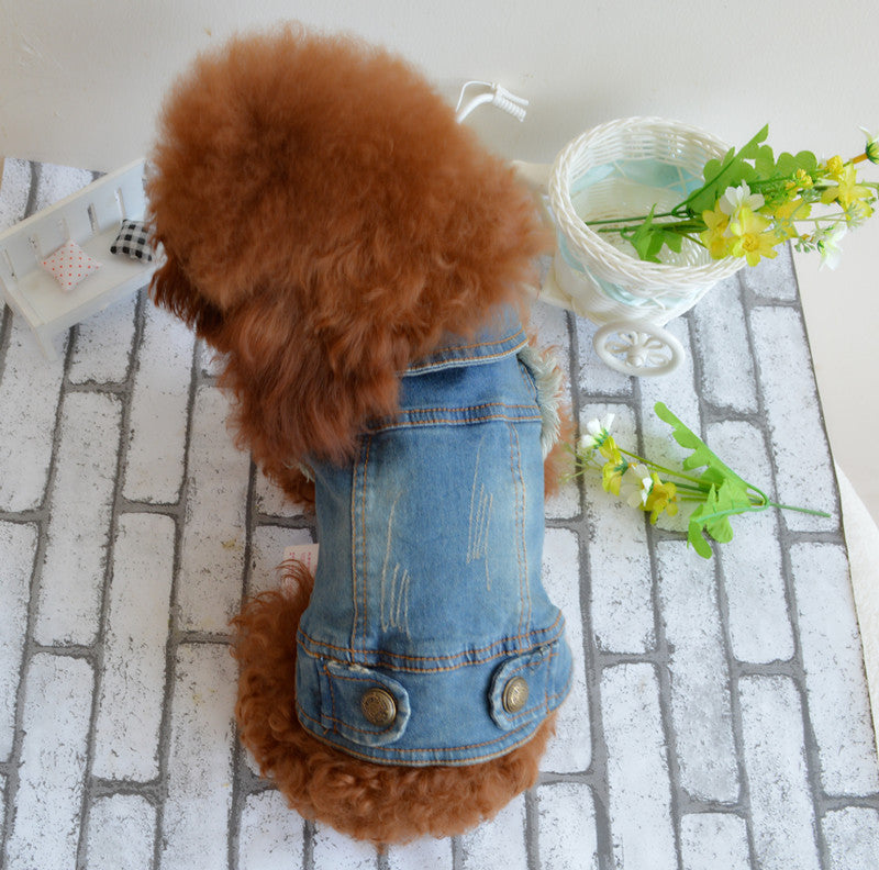 Pet Dog Clothes Teddy VIP Pet Bichon Winter Clothing Retro Jeans Vest And Grasps The Grain Character