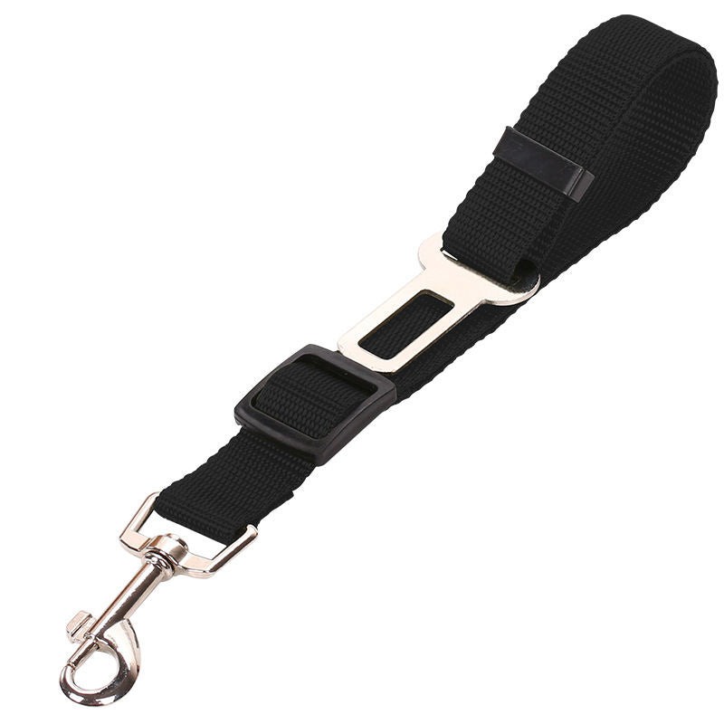 Seat Belts Dogs Car