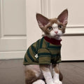 A Cute Green Striped Two-legged Vest