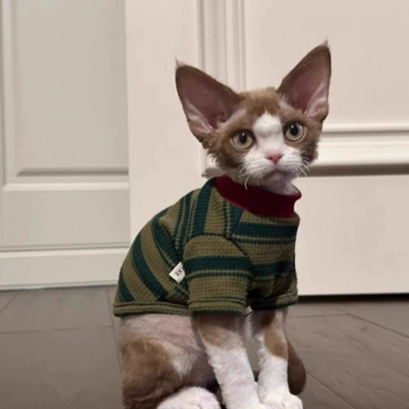 A Cute Green Striped Two-legged Vest