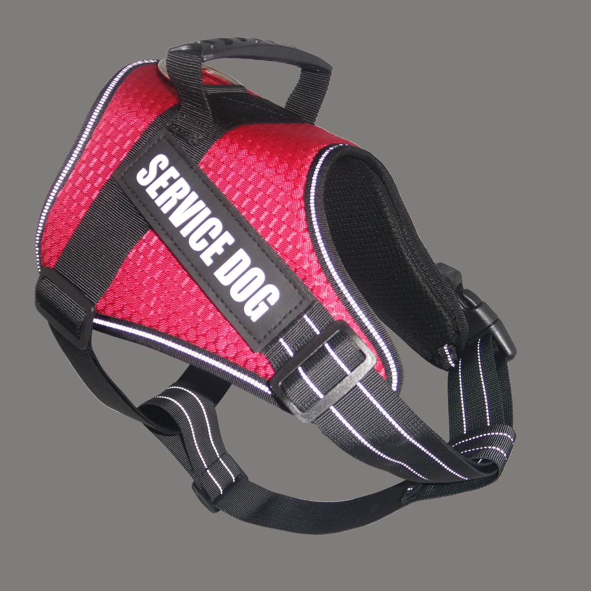 Custom Pet harness