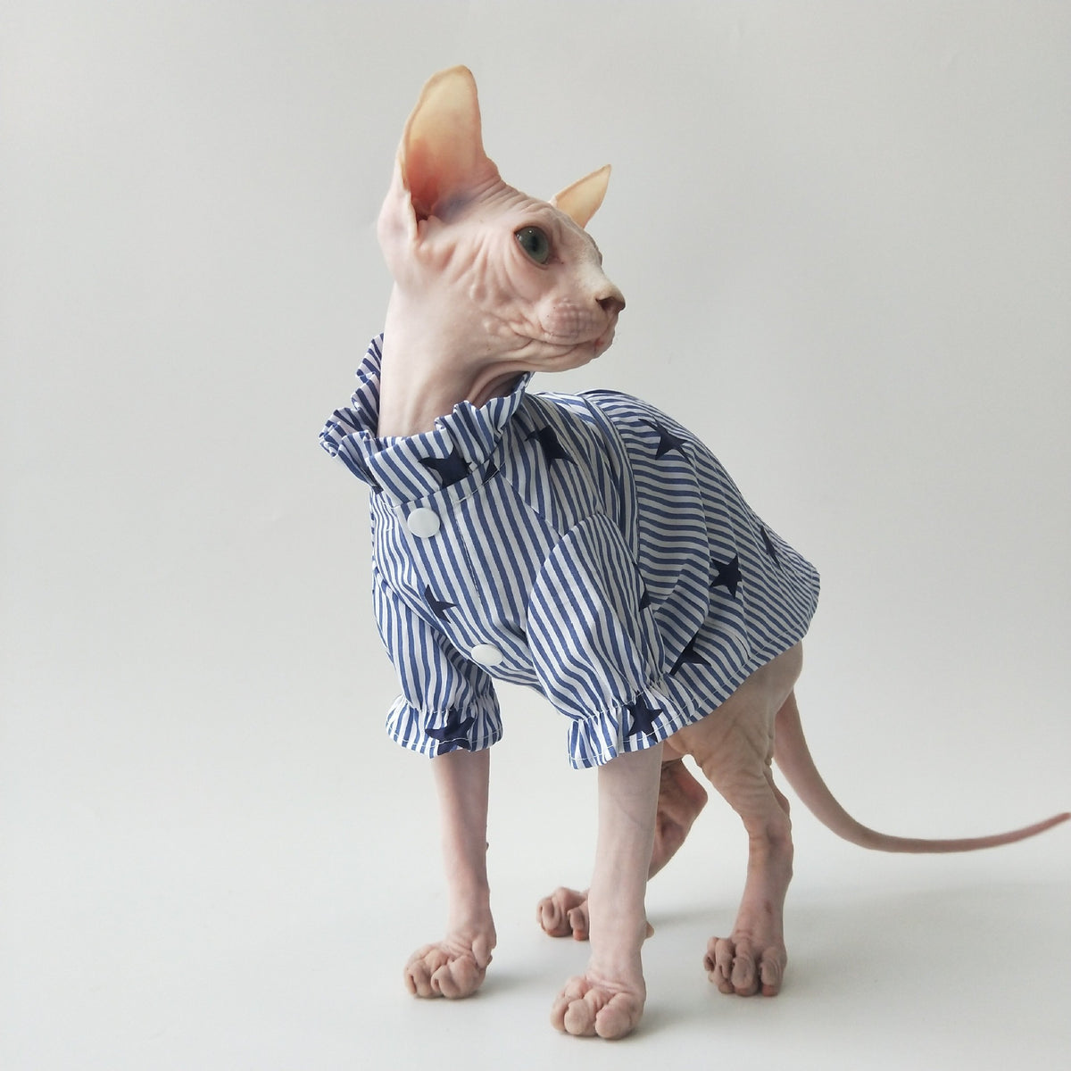 Sphynx Cat Cotton Shirt With Tie Blue Striped With Stars Pattern