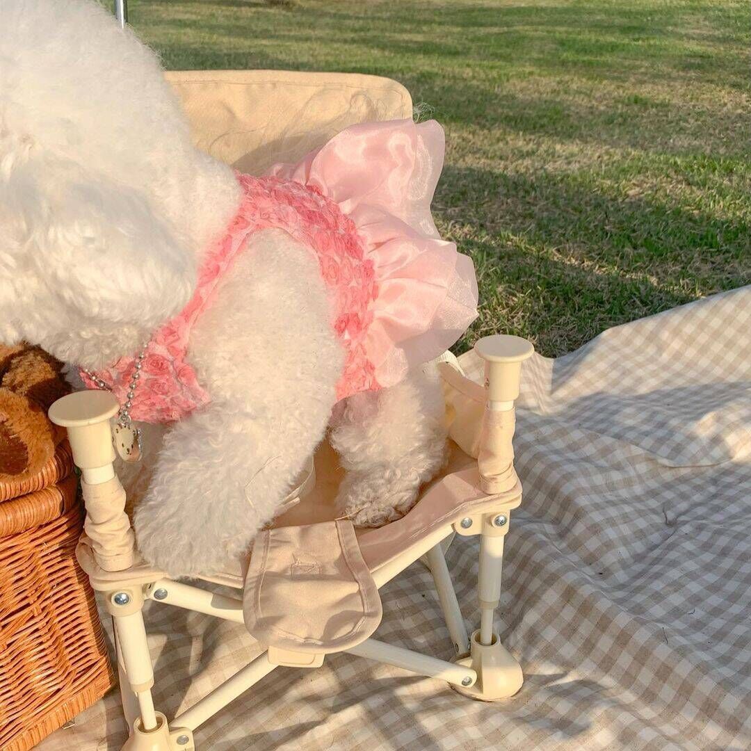 Spring And Summer Fashion Pet Dress