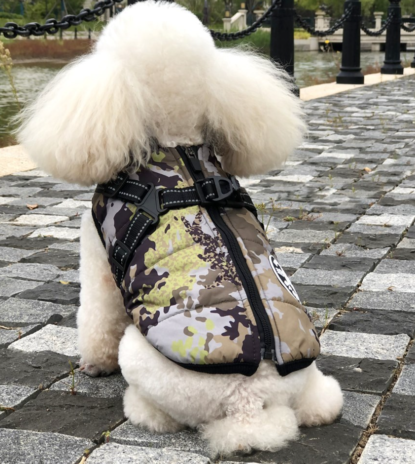 Warm Pet Vest In Autumn And Winter Reflective And Thickened