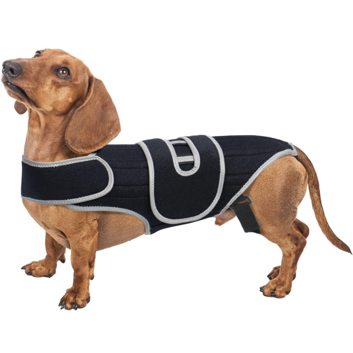 Dog Back Support Sling For Relieving Back Injuries And Fractures