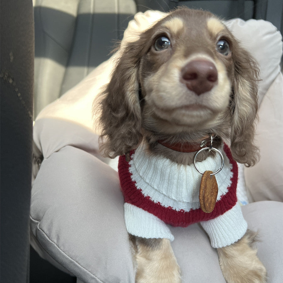Sausage Dog Clothes Small Dog Cat Warm Thickened Sweater