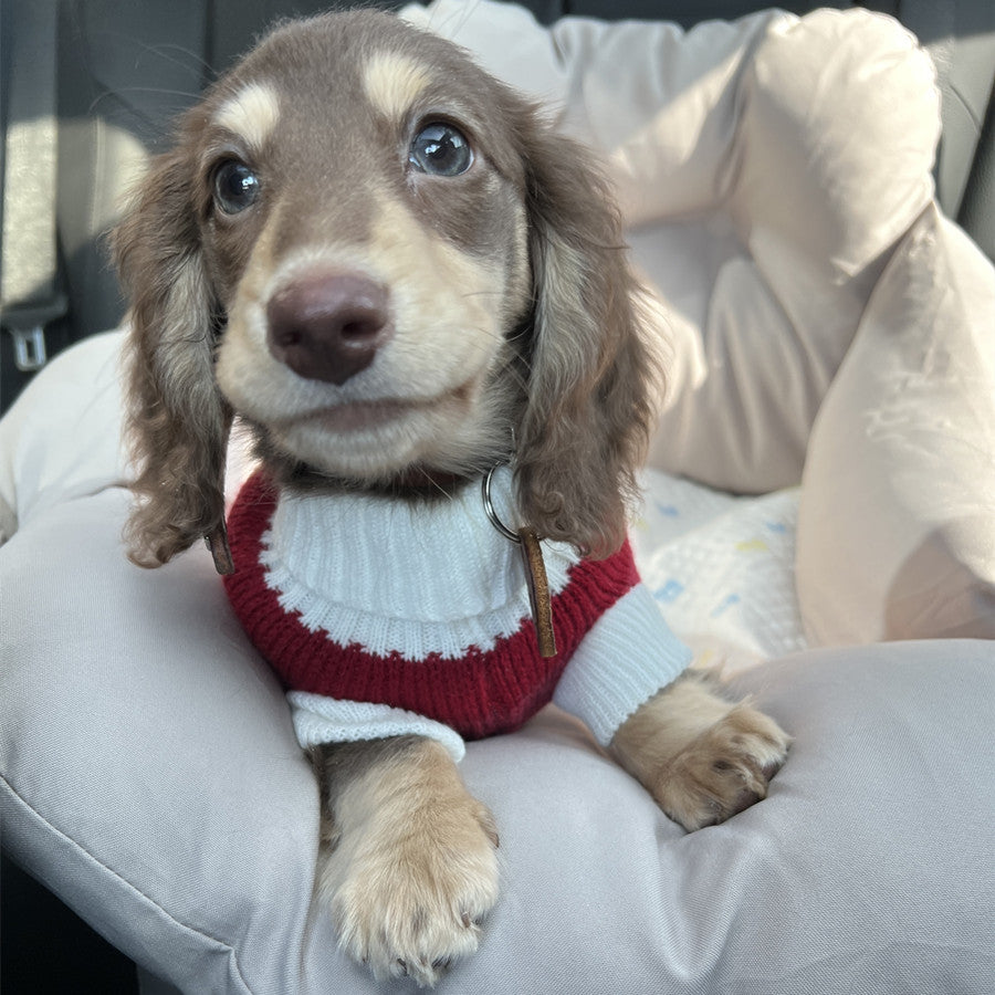 Sausage Dog Clothes Small Dog Cat Warm Thickened Sweater