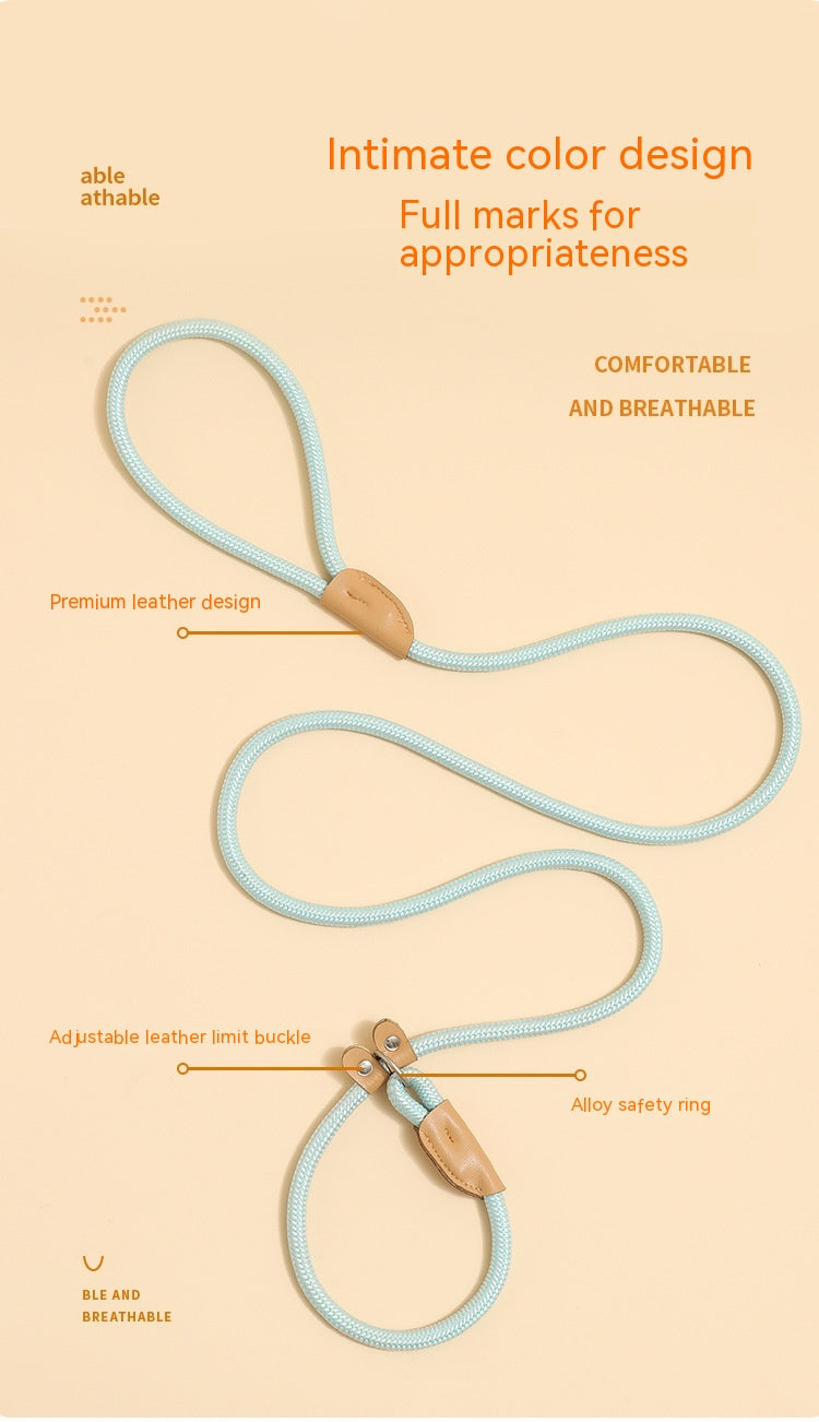 Household Dog Pet Hand Holding Rope