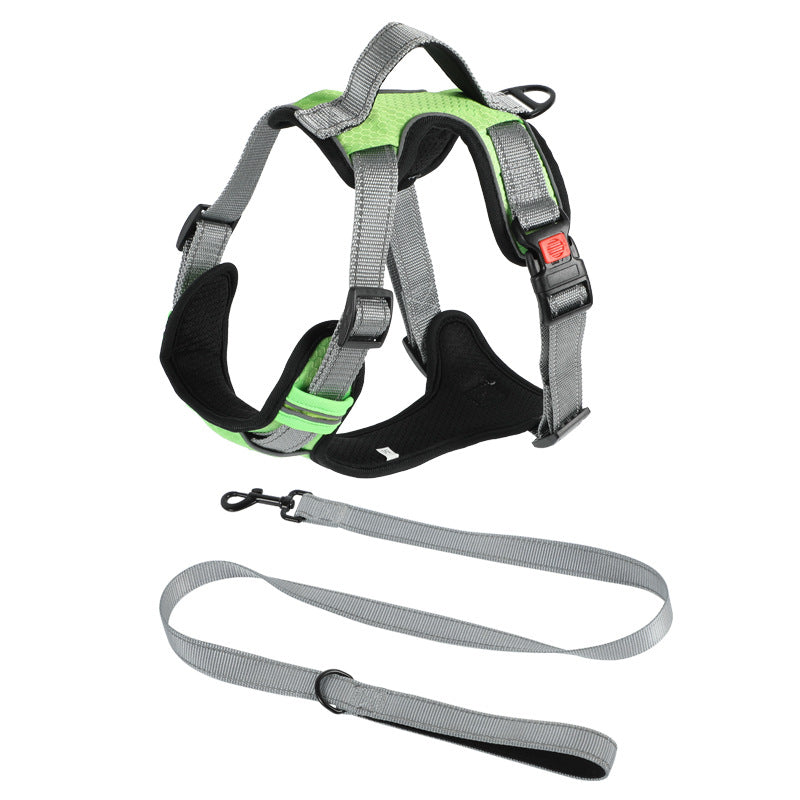 Dog Hand Holding Rope Vest Dog Chest Strap