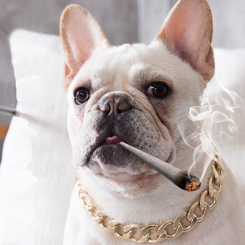 Dog metal big gold chain