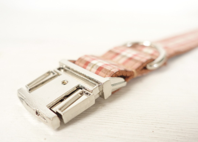Creative design dog collar