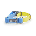 Plastic Waterproof Traction Collar Pet Supplies Tow Rope Collar