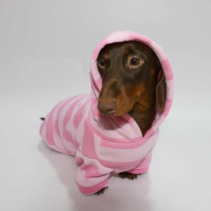 Pet Autumn And Winter Thin Velvet Hooded Pink Striped Sweater