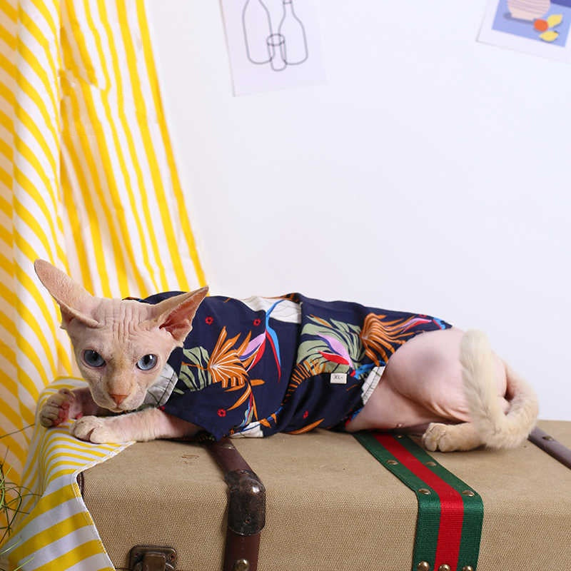 Sphynx Cat Summer Shirt Hawaiin Style Button Up Clothes