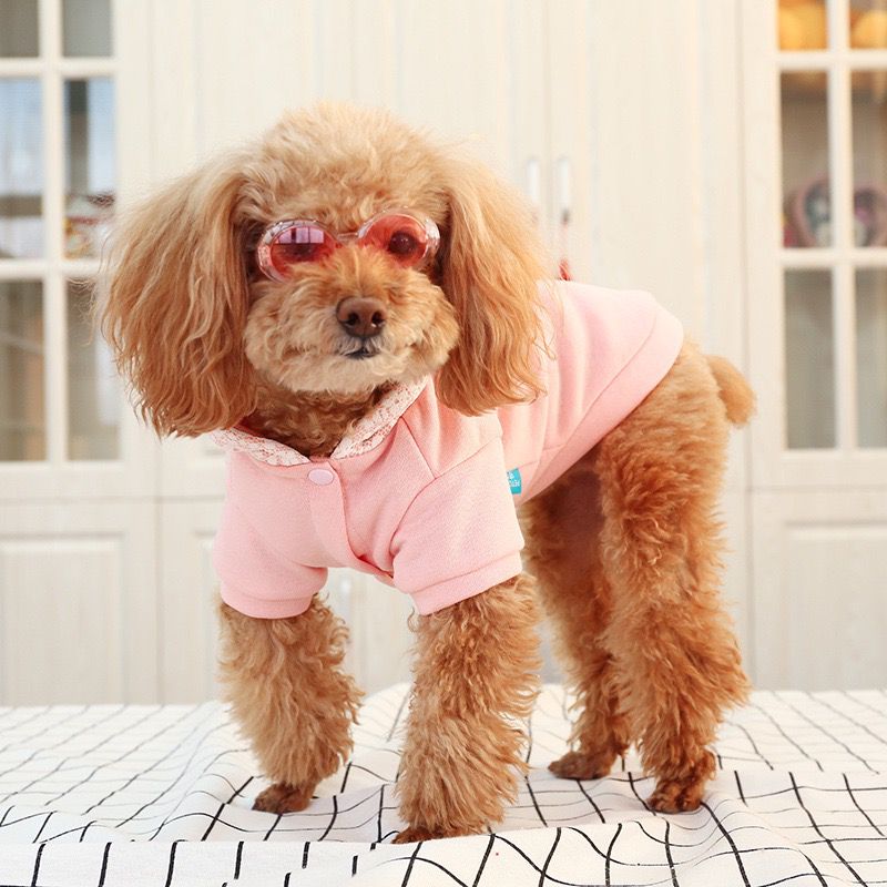 Teddy clothes plus velvet thick hooded sports sweater