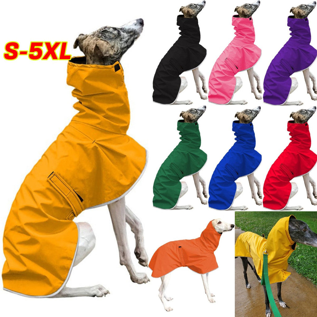 Pet clothing belt four-legged multi-color warm