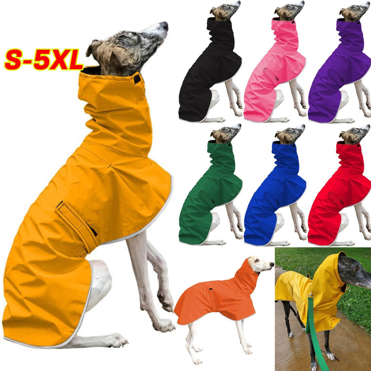 Pet clothing belt four-legged multi-color warm