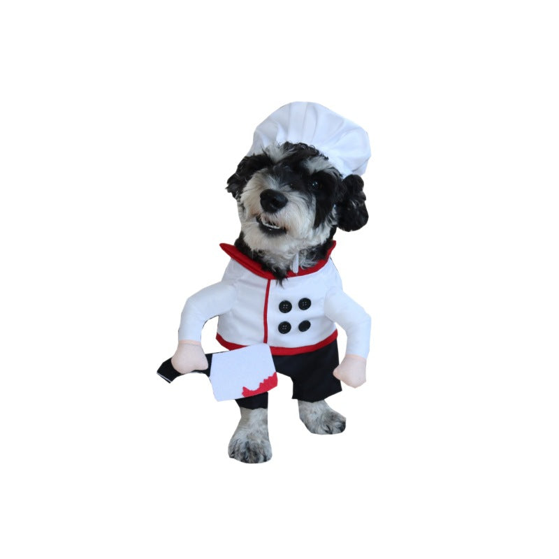 Winter Cotton Coat For Pet Dogs
