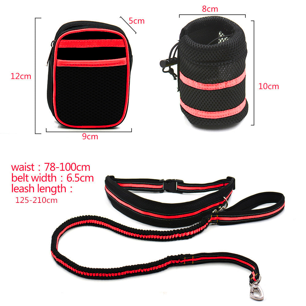 Reflective pet traction set